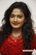 Ammanji Actress Still 893