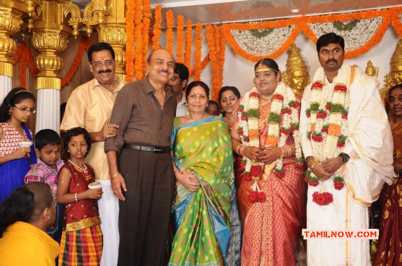 Anbalaya Prabakaran Daughter Wedding Tamil Event Nov 2014 Photos 7712