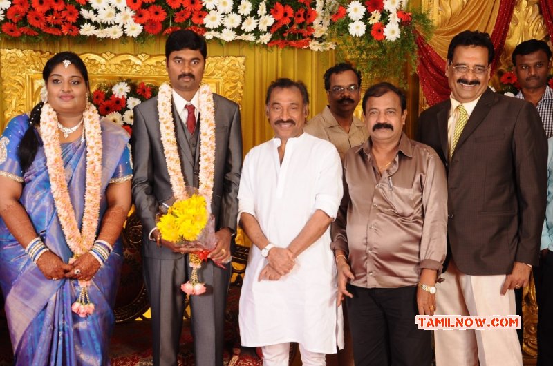 Nov 2014 Galleries Anbalaya Prabakaran Daughter Wedding Tamil Function 3221