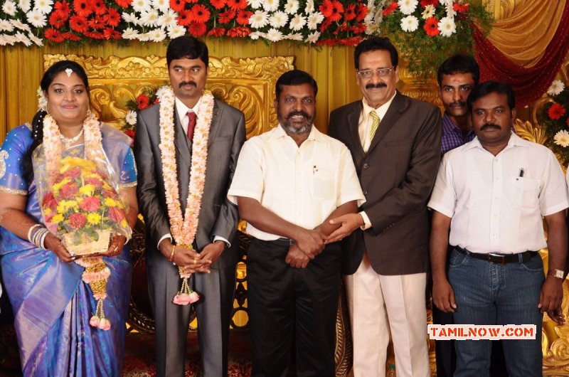 Tamil Event Anbalaya Prabakaran Daughter Wedding Nov 2014 Pic 4003