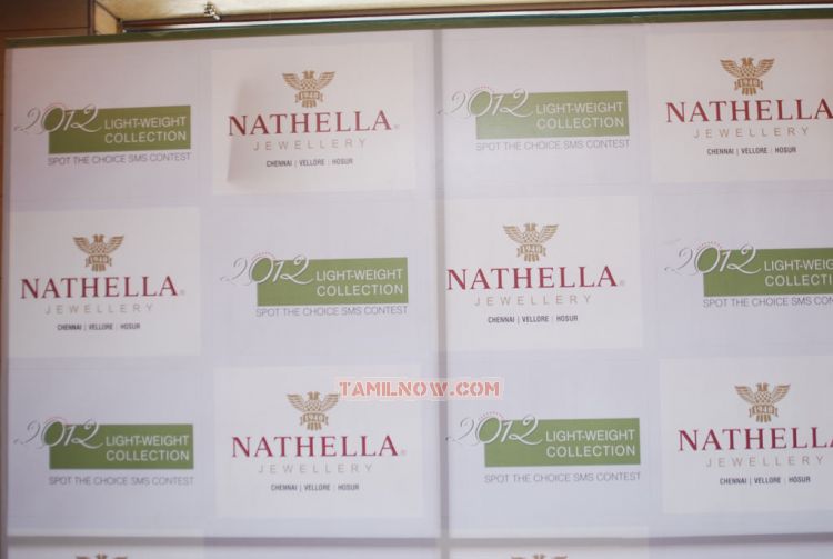 Andrea Jeremiah At Nathella Jewellery 7475