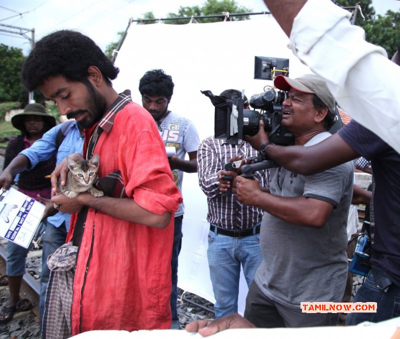 Picture Anegan Movie Location Tamil Function 6683