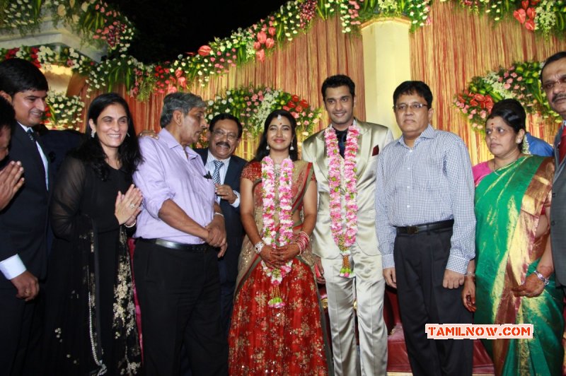Arulnidhi Keerthana Wedding Reception Event 2015 Pic 7827