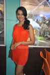 Arun Vijay And Rakul Preet Singh Launches Pix 5d Cinema 6846