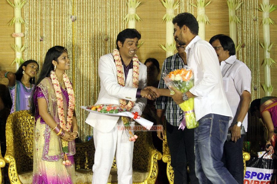 Asl Nachiyappan Son Wedding Reception 2673