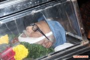 Balu Mahendra Passes Away 752