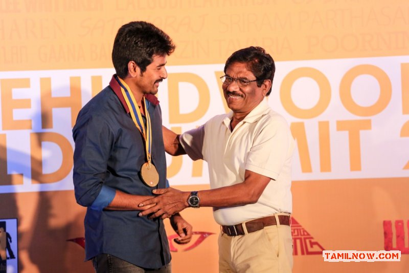 Behindwoods Gold Medals 2013 Stills 9166