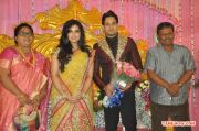 Bharat Marriage Reception 2715