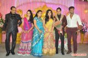 Bharat Marriage Reception 3582