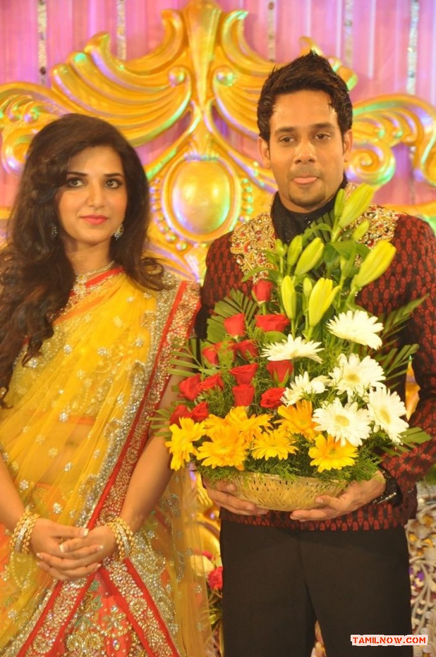 Bharat Marriage Reception 7428