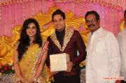 Bharat Marriage Reception 785