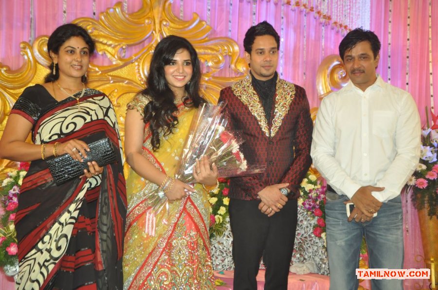 Bharat Marriage Reception 8802