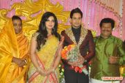 Bharat Marriage Reception 9311