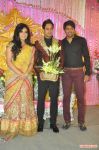 Bharat Marriage Reception Stills 9360