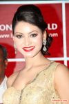 Urvashi Rautela Photo 721