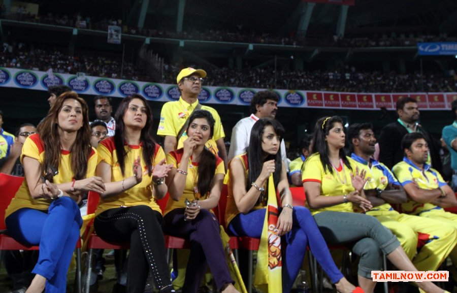 Ccl 4 Kerala Strikers Vs Chennai Rhinos Match 1299