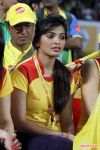 Ccl 4 Kerala Strikers Vs Chennai Rhinos Match 367