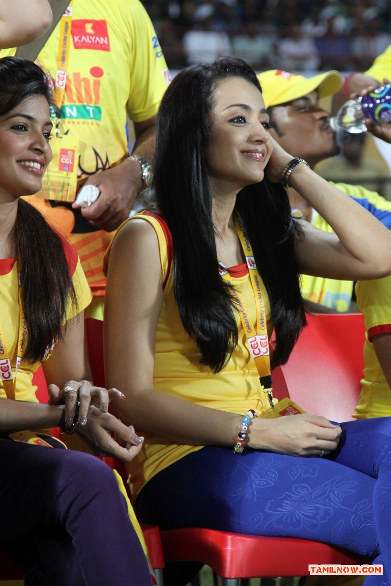 Ccl 4 Kerala Strikers Vs Chennai Rhinos Match 6259