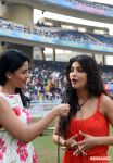 Ccl 4 Mumbai Heroes Vs Chennai Rhinos Match 5374