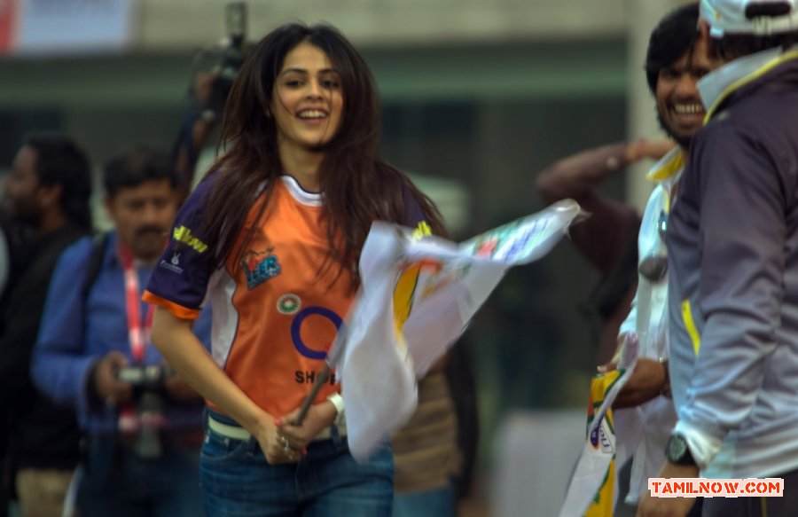 Genelia Dsouza At Ccl4 654