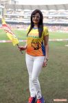 Sonia Agarwal At Ccl4 851