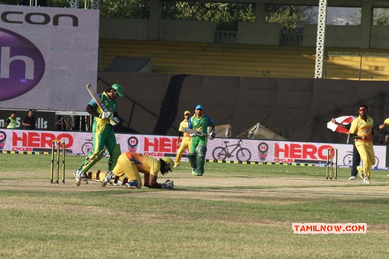 2015 Gallery Ccl 5 Chennai Rhinos Vs Kerala Strikers 4777