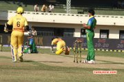 Event Ccl 5 Chennai Rhinos Vs Kerala Strikers 2015 Photos 7681