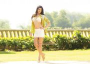 Deeksha Seth In Ccl Calendar 165