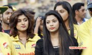 2015 Photo Tamil Event Ccl5 Chennai Rhinos Vs Veer Marathi Match 8247