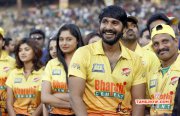 Event Ccl5 Chennai Rhinos Vs Veer Marathi Match Latest Pics 6781