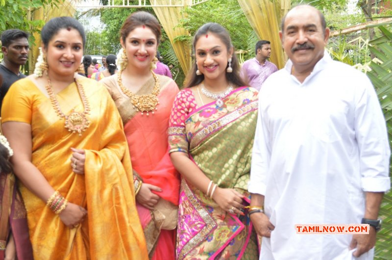 Recent Photos Celebrities At Shanthanu Keerthi Wedding Tamil Movie Event 2696