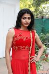 Actress Dhansika At Edison Awards 2014 957