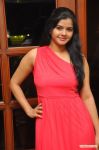 Chennai Plastic Surgery 1st Anniversary Celebration 6021