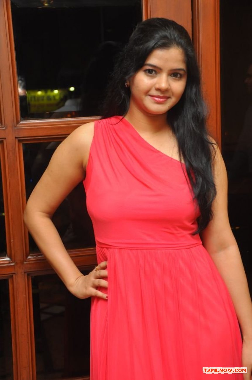 Chennai Plastic Surgery 1st Anniversary Celebration 6021