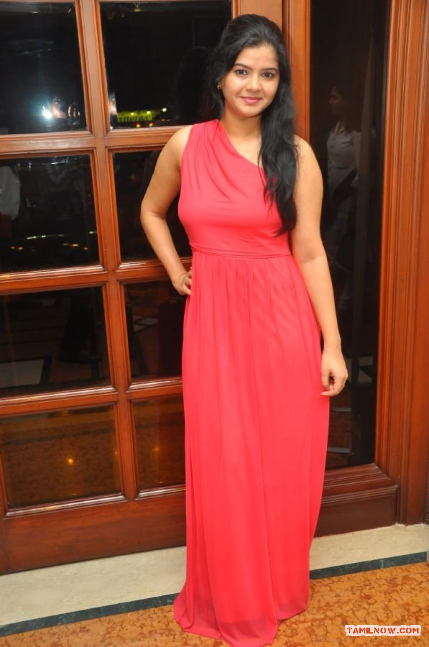 Chennai Plastic Surgery 1st Anniversary Celebration 8667