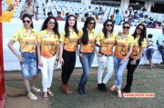 Event Chennai Rhinos Vs Karnataka Bulldozers Semifinals Feb 2015 Images 1106