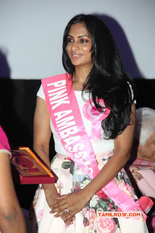 Function Chennai Turns Pink Press Meet Photo 6019