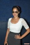 Bindhu Madhavi At Desingu Raja Press Show 568