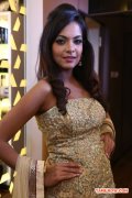 Dhanshika Launches Essensuals At Mylapore Photos 4081