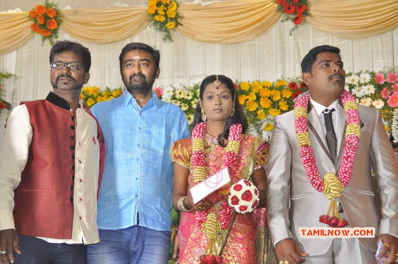 Nov 2014 Gallery Director Sai Ramani Daughter Weddding Reception Tamil Movie Event 848