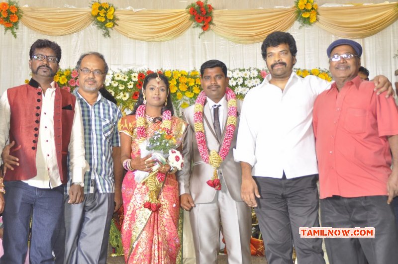Pics Director Sai Ramani Daughter Weddding Reception Tamil Movie Event 843