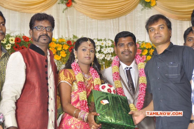 Tamil Movie Event Director Sai Ramani Daughter Weddding Reception Nov 2014 Still 6739