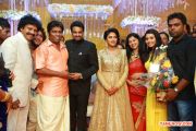 Director Vijay And Amala Paul Wedding Reception 3476