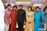 Director Vijay And Amala Paul Wedding Reception Photos 6596