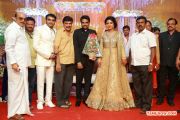 Director Vijay And Amala Paul Wedding Reception Stills 7970