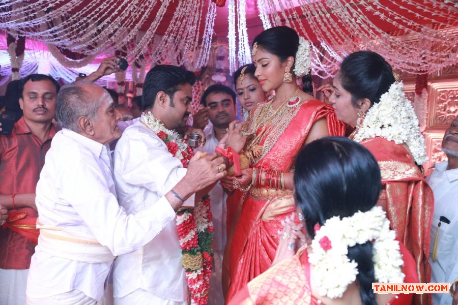 Director Vijay And Amala Paul Wedding Photos 1529