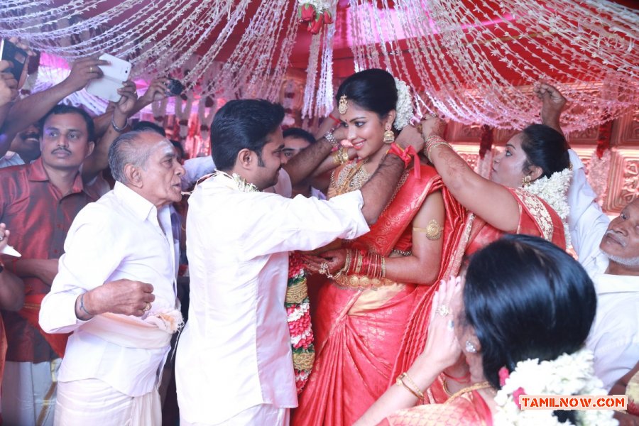 Vijay Amala Paul Marriage Ceremony 661