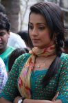 Trisha Krishnan 771