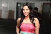 English Vinglish Trailer Launch