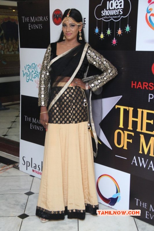 Function Face Of Madras Awards 2015 2015 Still 9183